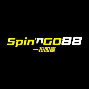 Spin'nGO - Logo - mygmofficial