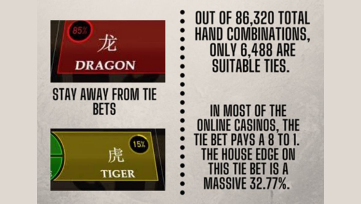 mygame-playing-live-dragon-tiger-winning-strategy-feature2-mygmofficial