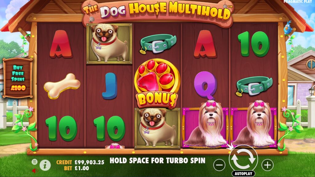 mygame-the-dog-house-multihold-theme-mygmofficial